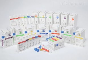 丁二酸酐在深圳網(wǎng)站開(kāi)發(fā)中的創(chuàng)新應(yīng)用