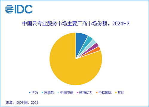 2024下半年中國云專業(yè)與管理服務(wù)市場 整體收入235.6億元，企業(yè)管理服務(wù)驅(qū)動11.2%增長